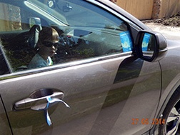 Her arabaya – kurdele!